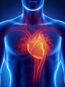 Cardio Vasculaire